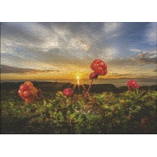 Puzzel Cloudberries 1000 Heye